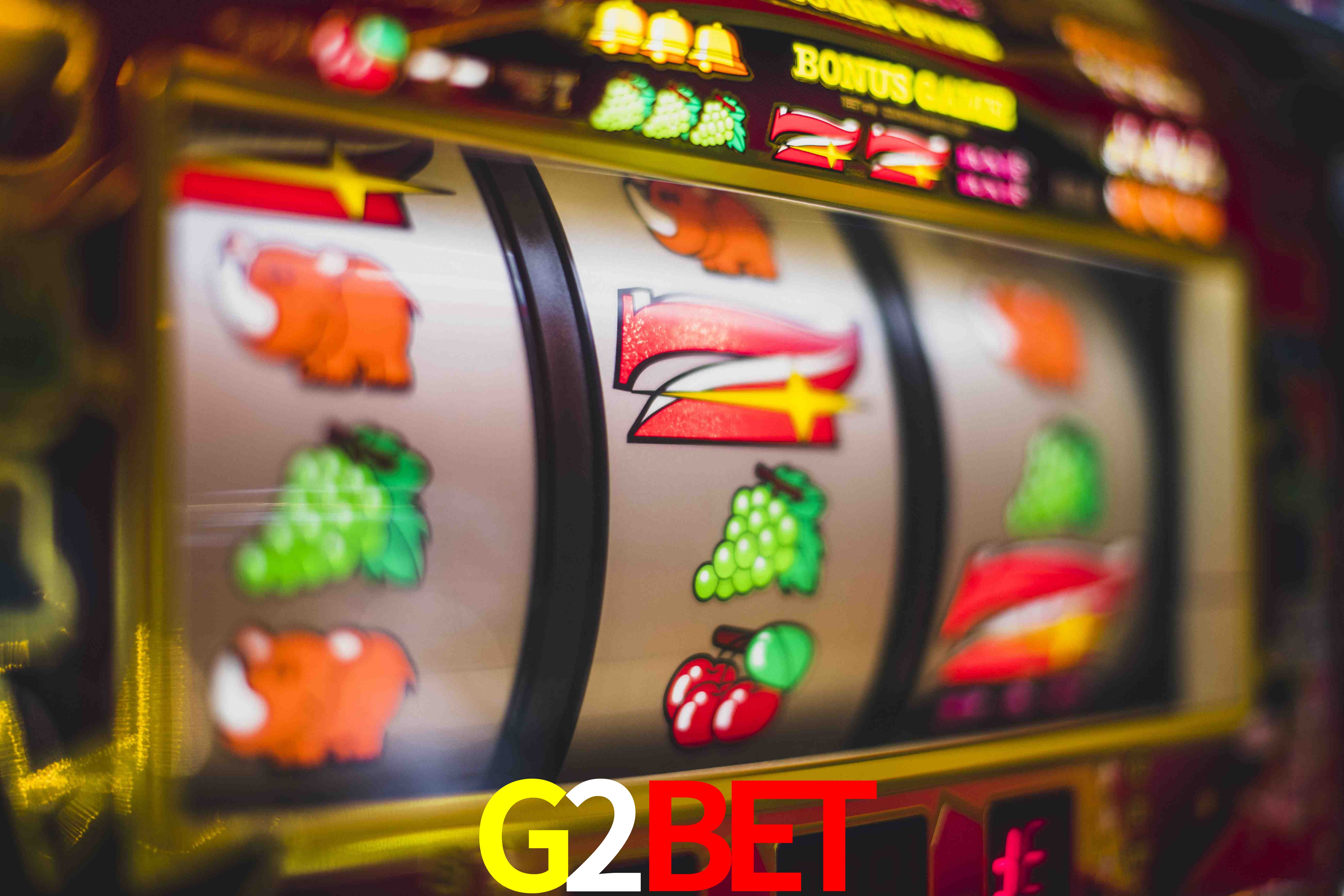Experiência VIP G2BET